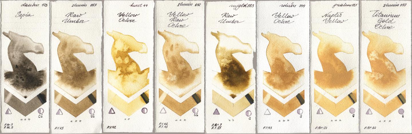 Daniel Smith 103 Sepia, Shminke Horadam Aquarell 667 Raw Umber, Kuretake Gansai Tambi 044 Yellow Ochre, 656 Yellow Raw Ochre, Mijello Mission Gold 563 Raw Umber, Winsor & Newton Professional 744 Yellow Ochre, M. Graham & Co. Artists 121 Naples Yellow, 659 Titanium Gold Och watercolor swatch
