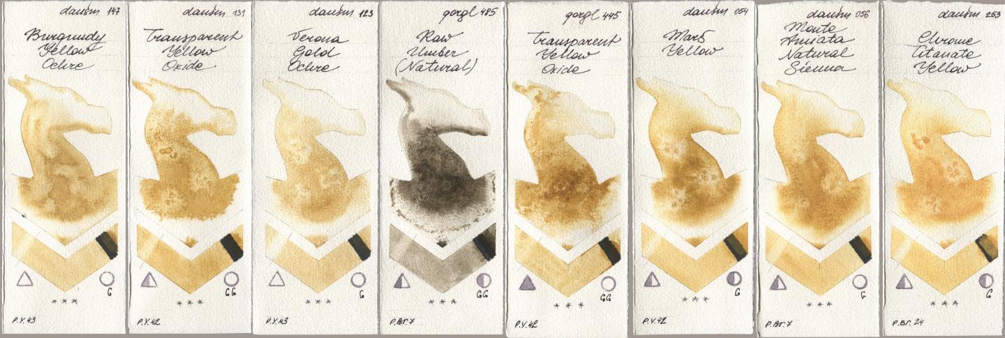 Daniel Smith 147 Burgundy Yellow Ochre, 131 Transparent Yellow Oxide, 123 Verona Gold Ochre, Golden QOR 485 Raw Umber (Natural), 445 Transparent Yellow Oxide, 054 Mars Yellow, 056 Monte Amiata Natural Sienna, 253 Chrome Titanate Yell watercolor swatch