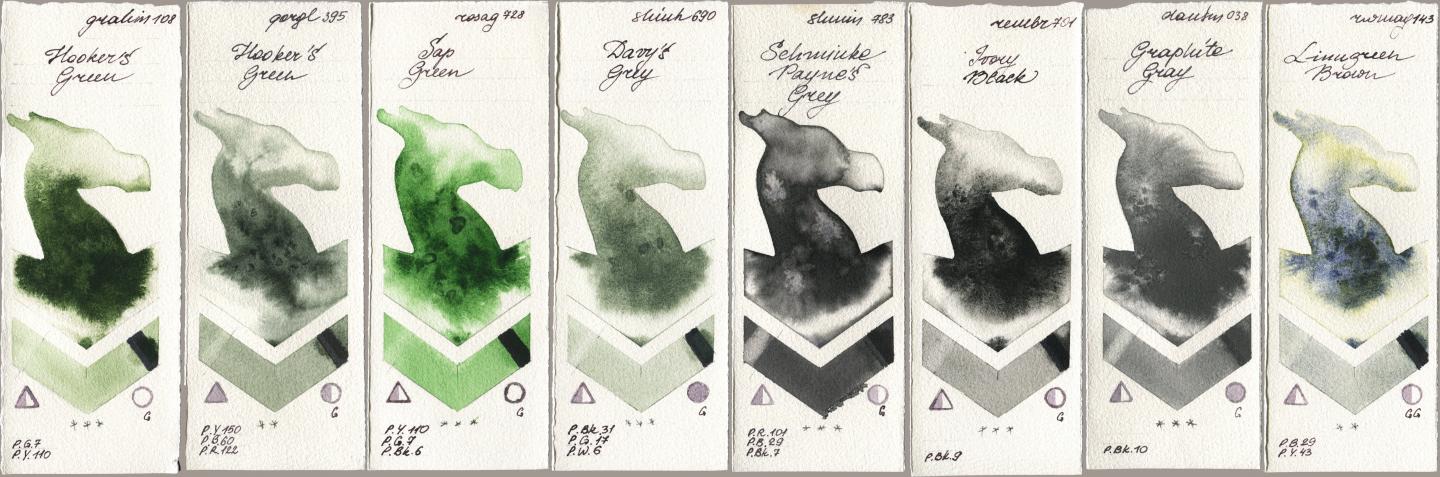 M. Graham & Co. Artists 108 Hookers Green, Golden QOR 395 Hookers Green, Rosa Gallery 728 Sap Green, Shinhan PWC 690 Davys Grey, Shminke Horadam Aquarell 783 Schmincke Paynes Grey, Royal Talens Rembrandt Watercolour 701 Ivory Black, Daniel Smith 038 Graphite Gray, Rockwell 143 Limugreen Bro watercolor swatch