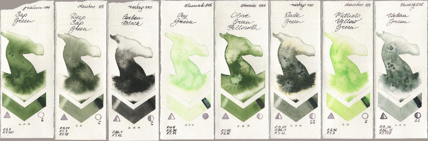 M. Graham & Co. Artists 174 Sap Green, Daniel Smith 175 Deep Sap Green, Rosa Gallery 770 Carbon Black, Shminke Akademie Aquarell 915 Icy Green, Shminke Horadam Aquarell 525 Olive Green Yellowish, 766 Jade Green, 124 Phthalo Yellow Green, 936 Urban Gre watercolor swatch
