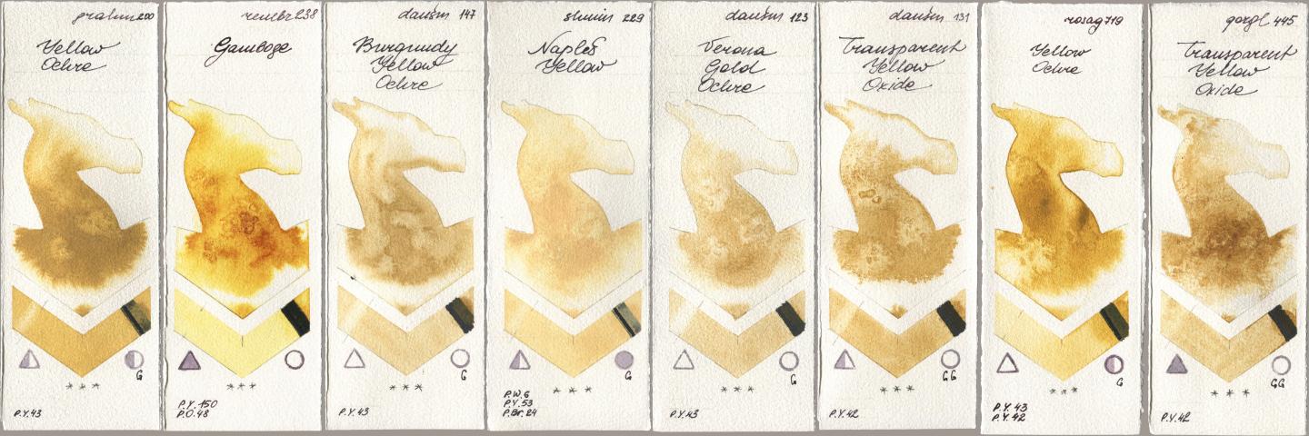 M. Graham & Co. Artists 200 Yellow Ochre, Royal Talens Rembrandt Watercolour 238 Gamboge, Daniel Smith 147 Burgundy Yellow Ochre, Shminke Horadam Aquarell 229 Naples Yellow, 123 Verona Gold Ochre, 131 Transparent Yellow Oxide, Rosa Gallery 719 Yellow Ochre, Golden QOR 445 Transparent Yellow Oxi watercolor swatch