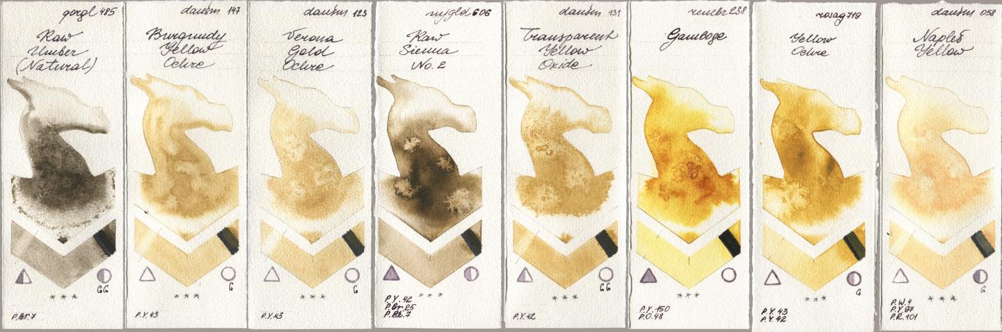 Golden QOR 485 Raw Umber (Natural), Daniel Smith 147 Burgundy Yellow Ochre, 123 Verona Gold Ochre, Mijello Mission Gold 606 Raw Sienna No 2, 131 Transparent Yellow Oxide, Royal Talens Rembrandt Watercolour 238 Gamboge, Rosa Gallery 719 Yellow Ochre, 058 Naples Yell watercolor swatch