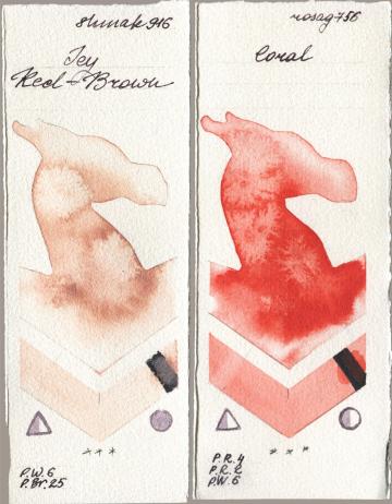 Shminke Akademie Aquarell 916 Icy Red-Brown vs Rosa Gallery 756 Coral watercolor swatch