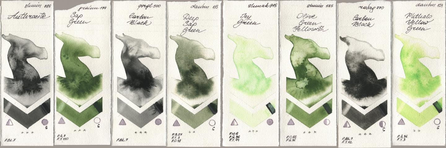 Shminke Horadam Aquarell 786 Anthracite, M. Graham & Co. Artists 174 Sap Green, Golden QOR 500 Carbon Black, Daniel Smith 175 Deep Sap Green, Shminke Akademie Aquarell 915 Icy Green, 525 Olive Green Yellowish, Rosa Gallery 770 Carbon Black, 124 Phthalo Yellow Gre watercolor swatch