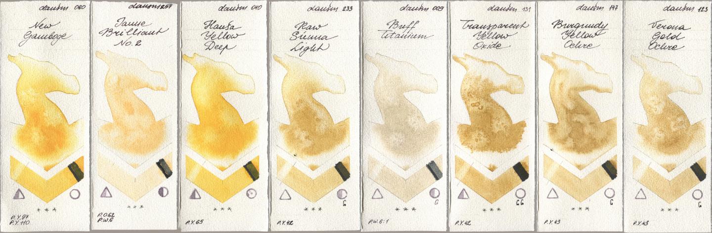 Daniel Smith 060 New Gamboge, 257 Jaune Brilliant No 2, 040 Hansa Yellow Deep, 233 Raw Sienna Light, 009 Buff Titanium, 131 Transparent Yellow Oxide, 147 Burgundy Yellow Ochre, 123 Verona Gold Och watercolor swatch