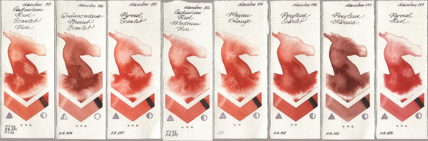 Daniel Smith 219 Cadmium Red Scarlet Hue, 087 Quinacridone Burnt Scarlet, 085 Pyrrol Scarlet, 222 Cadmium Red Medium Hue, 216 Mayan Orange, 076 Perylene Scarlet, 074 Perylene Maroon, 084 Pyrrol R watercolor swatch