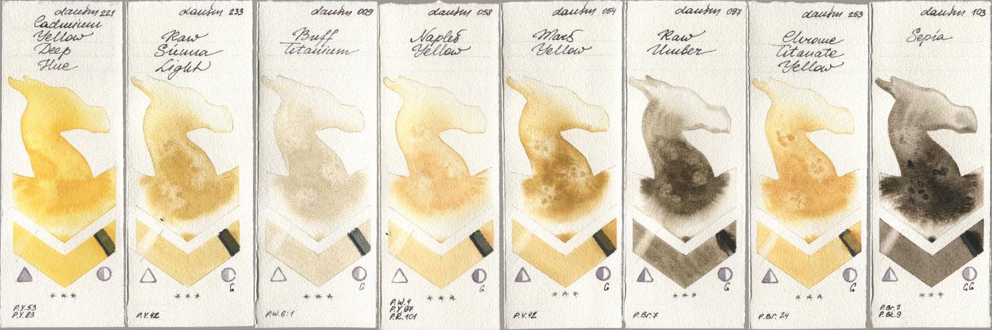 Daniel Smith 221 Cadmium Yellow Deep Hue, 233 Raw Sienna Light, 009 Buff Titanium, 058 Naples Yellow, 054 Mars Yellow, 097 Raw Umber, 253 Chrome Titanate Yellow, 103 Sep watercolor swatch
