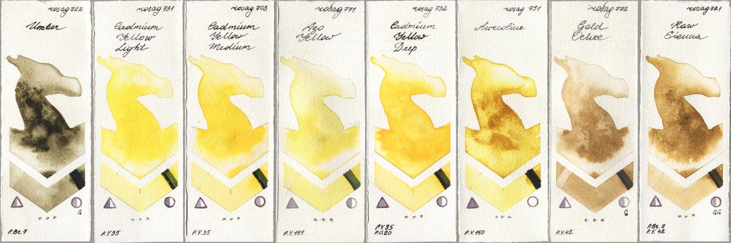 Rosa Gallery 722 Umber, 731 Cadmium Yellow Light, 703 Cadmium Yellow Medium, 771 Azo Yellow, 732 Cadmium Yellow Deep, 751 Aureoline, 772 Gold Ochre, 721 Raw Sien watercolor swatch