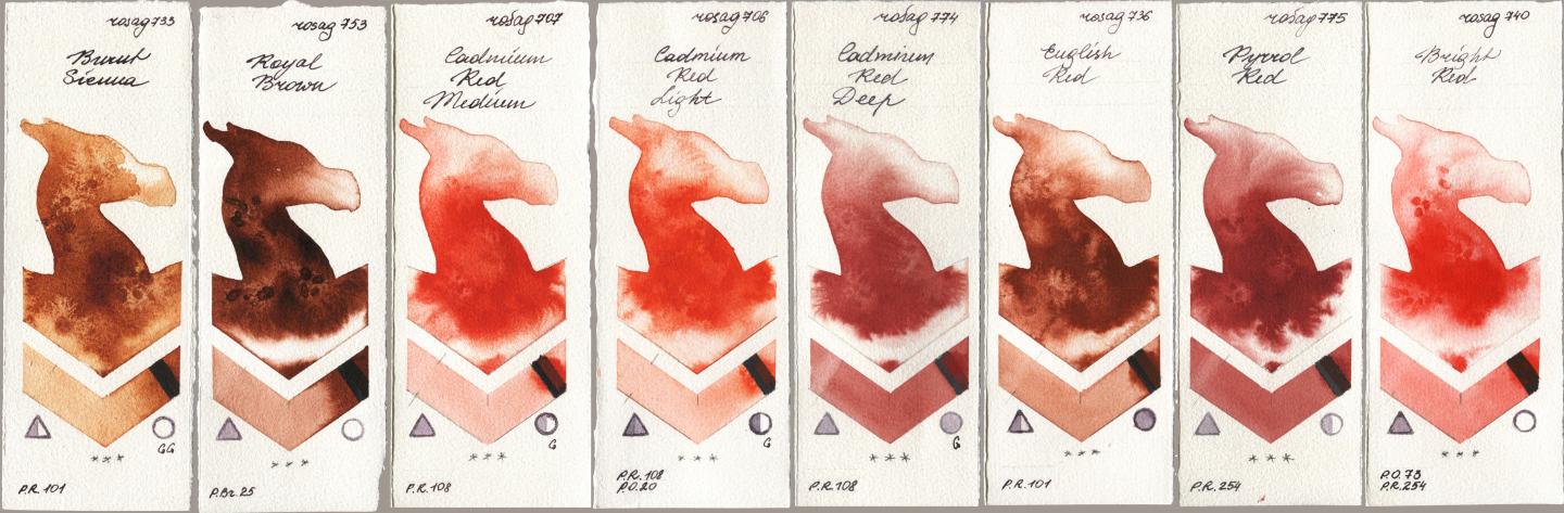 Rosa Gallery 733 Burnt Sienna, 753 Royal Brown, 707 Cadmium Red Medium, 706 Cadmium Red Light, 774 Cadmium Red Deep, 736 English Red, 775 Pyrrole Red, 740 Bright R watercolor swatch