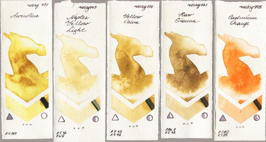 Rosa Gallery 751 Aureoline vs 745 Naples Yellow Light vs 719 Yellow Ochre vs 721 Raw Sienna vs 705 Cadmium Orange watercolor swatch