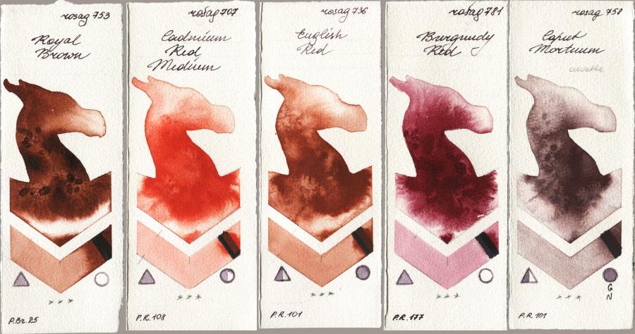 Rosa Gallery 753 Royal Brown vs 707 Cadmium Red Medium vs 736 English Red vs 781 Burgundy Red vs 758 Caput Mortuum watercolor swatch