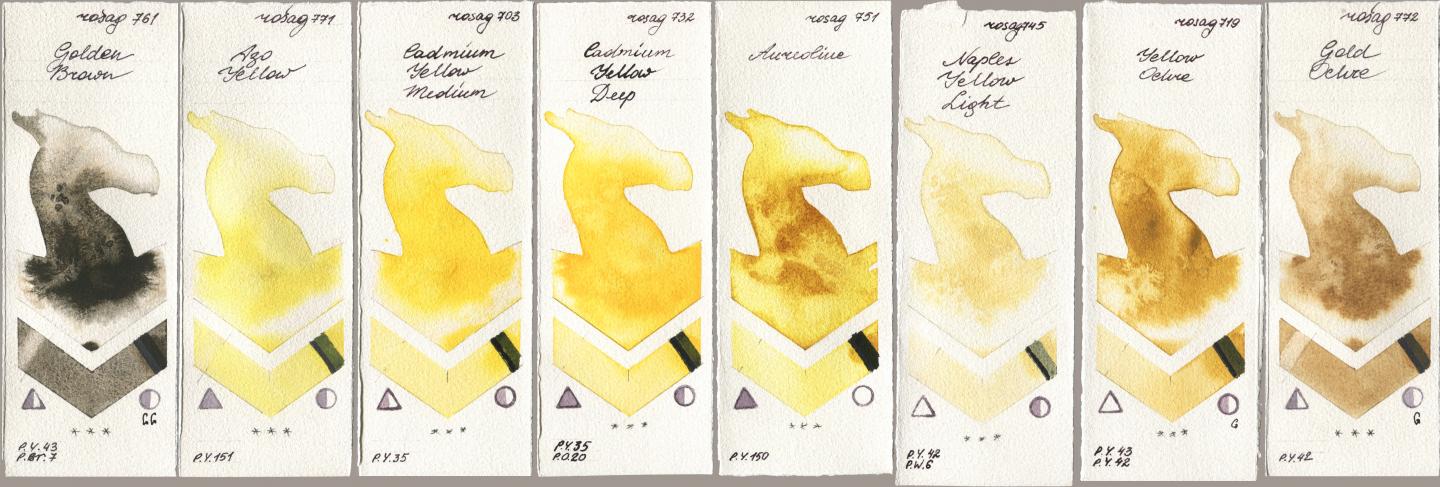 Rosa Gallery 761 Golden Brown, 771 Azo Yellow, 703 Cadmium Yellow Medium, 732 Cadmium Yellow Deep, 751 Aureoline, 745 Naples Yellow Light, 719 Yellow Ochre, 772 Gold Och watercolor swatch