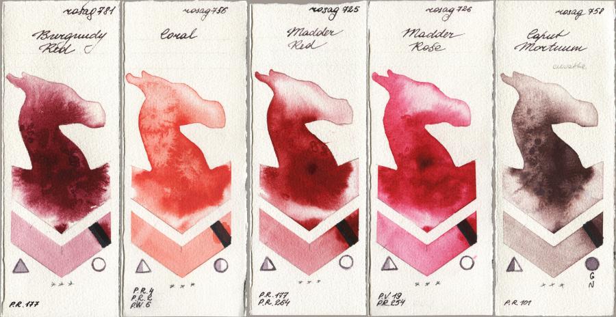 Rosa Gallery 781 Burgundy Red vs 756 Coral vs 725 Madder Red vs 726 Madder Rose vs 758 Caput Mortuum watercolor swatch