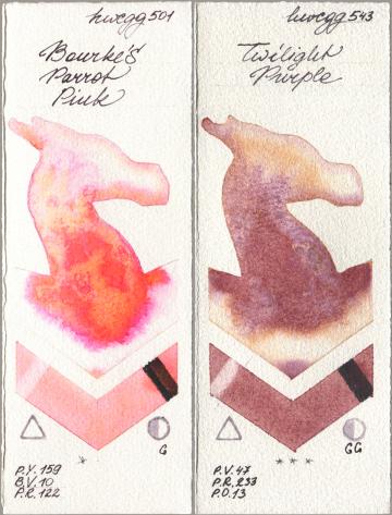 Holbein Artists Watercolor 501 Bourkes Parrot Pink, 543 Twilight Purp watercolor swatch