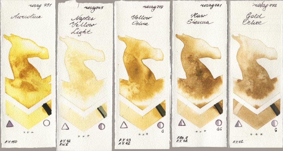 Rosa Gallery 751 Aureoline, 745 Naples Yellow Light, 719 Yellow Ochre, 721 Raw Sienna, 772 Gold Och watercolor swatch