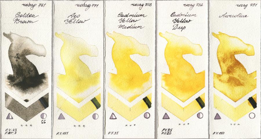 Rosa Gallery 761 Golden Brown, 771 Azo Yellow, 703 Cadmium Yellow Medium, 732 Cadmium Yellow Deep, 751 Aureoli watercolor swatch
