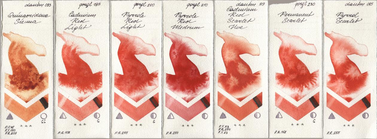 Daniel Smith 093 Quinacridone Sienna, Golden QOR 195 Cadmium Red Light, 200 Pyrrole Red Light, 210 Pyrrole Red Medium, 219 Cadmium Red Scarlet Hue, 230 Permanent Scarlet, 085 Pyrrol Scarl watercolor swatch