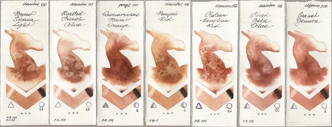 Daniel Smith 230 Burnt Sienna Light, 171 Roasted French Ochre, Golden QOR 165 Quinacridone Burnt Orange, 116 Pompeii Red, 122 Italian Venetian Red, 172 Fired Gold Ochre, 205 Garnet Genui watercolor swatch