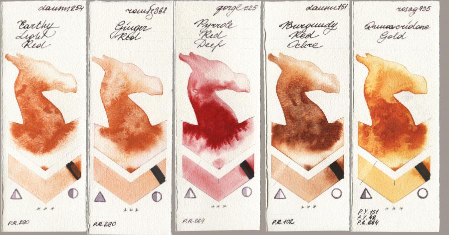 Daniel Smith 254 Earthy Light Red vs Roman Szmal Aquarius 368 Genger Red vs Golden QOR 225 Pyrrole Red Deep vs 151 Burgundy Red Ochre vs Rosa Gallery 735 Quinacridone Gold watercolor swatch