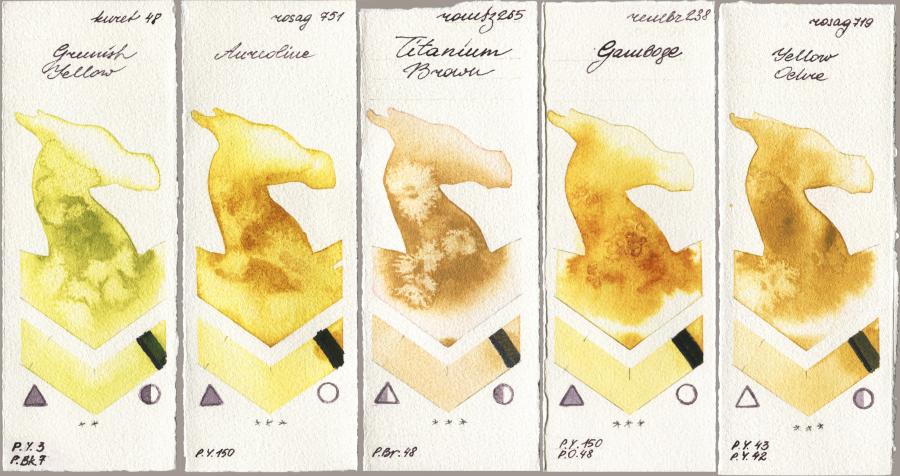 Kuretake Gansai Tambi 048 Greenish Yellow vs Rosa Gallery 751 Aureoline vs Roman Szmal Aquarius 265 Titanium Brown vs Royal Talens Rembrandt Watercolour 238 Gamboge vs 719 Yellow Ochre watercolor swatch