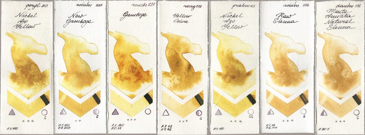 Golden QOR 140 Nickel Azo Yellow, Winsor & Newton Professional 267 New Gamboge, Royal Talens Rembrandt Watercolour 238 Gamboge, Rosa Gallery 719 Yellow Ochre, M. Graham & Co. Artists 123 Nickel Azo Yellow, 552 Raw Sienna, Daniel Smith 056 Monte Amiata Natural Sien watercolor swatch