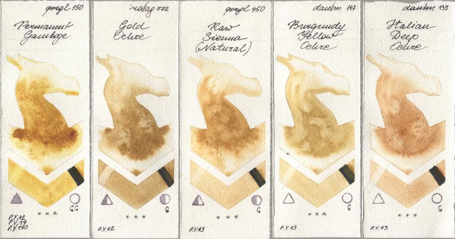 Golden QOR 150 Permanent Gamboge, Rosa Gallery 772 Gold Ochre, 450 Raw Sienna (Natural), Daniel Smith 147 Burgundy Yellow Ochre, 135 Italian Deep Och watercolor swatch