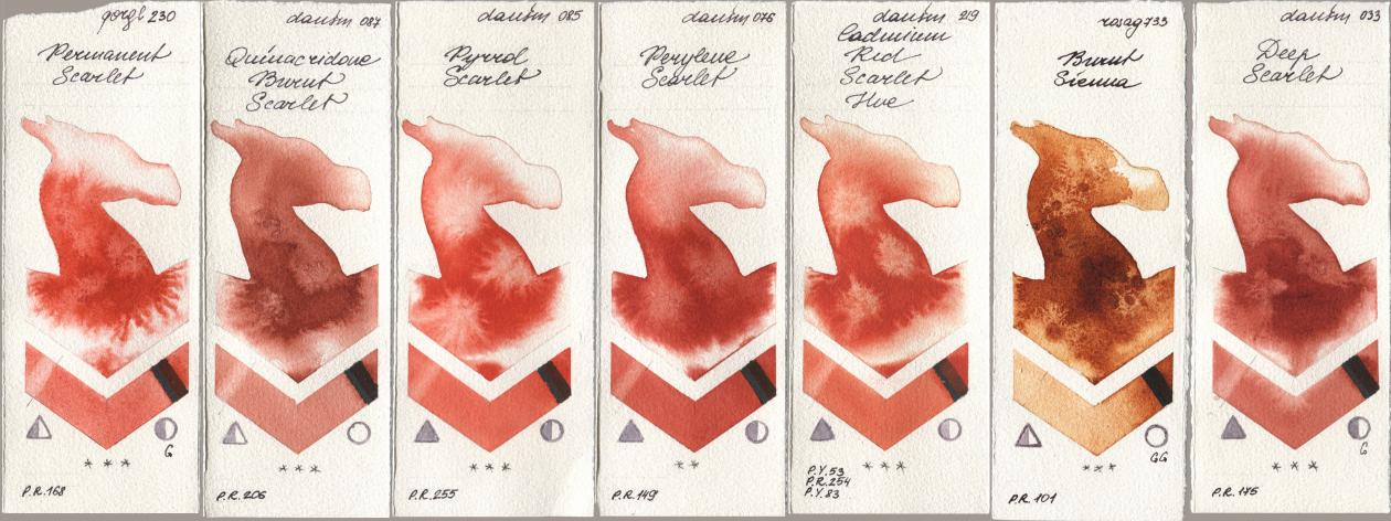 Golden QOR 230 Permanent Scarlet, Daniel Smith 087 Quinacridone Burnt Scarlet, 085 Pyrrol Scarlet, 076 Perylene Scarlet, 219 Cadmium Red Scarlet Hue, Rosa Gallery 733 Burnt Sienna, 033 Deep Scarl watercolor swatch