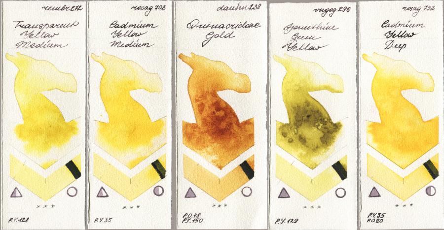 Royal Talens Rembrandt Watercolour 272 Transparent Yellow Medium vs Rosa Gallery 703 Cadmium Yellow Medium vs Daniel Smith 238 Quinacridone Gold vs Royal Talens Van Gogh Watercolour 296 Azomethine Green Yellow vs 732 Cadmium Yellow Deep watercolor swatch