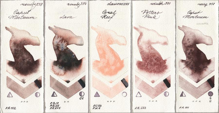 Roman Szmal Aquarius 239 Caput Mortuum vs 384 Lava vs Daniel Smith 255 Coral Reef vs Winsor & Newton Professional 537 Potters Pink vs Rosa Gallery 758 Caput Mortuum watercolor swatch