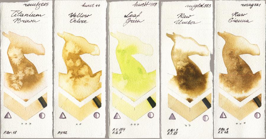 Roman Szmal Aquarius 265 Titanium Brown vs Kuretake Gansai Tambi 044 Yellow Ochre vs Holbein Artists Watercolor 077 Leaf Green vs Mijello Mission Gold 563 Raw Umber vs Rosa Gallery 721 Raw Sienna watercolor swatch