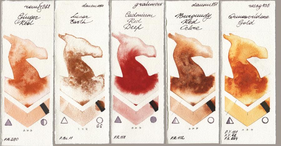 Roman Szmal Aquarius 368 Genger Red vs Daniel Smith 050 Lunar Earth vs M. Graham & Co. Artists 045 Cadmium Red Deep vs 151 Burgundy Red Ochre vs Rosa Gallery 735 Quinacridone Gold watercolor swatch