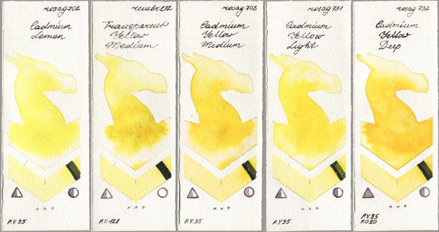 Rosa Gallery 702 Cadmium Lemon, Royal Talens Rembrandt Watercolour 272 Transparent Yellow Medium, 703 Cadmium Yellow Medium, 731 Cadmium Yellow Light, 732 Cadmium Yellow De watercolor swatch