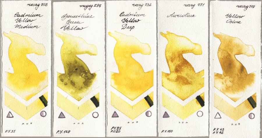 Rosa Gallery 703 Cadmium Yellow Medium vs Royal Talens Van Gogh Watercolour 296 Azomethine Green Yellow vs 732 Cadmium Yellow Deep vs 751 Aureoline vs 719 Yellow Ochre watercolor swatch