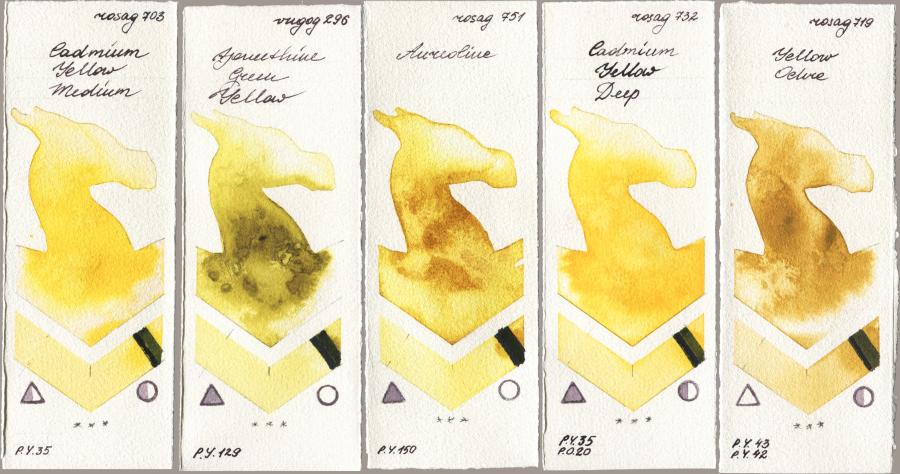 Rosa Gallery 703 Cadmium Yellow Medium vs Royal Talens Van Gogh Watercolour 296 Azomethine Green Yellow vs 751 Aureoline vs 732 Cadmium Yellow Deep vs 719 Yellow Ochre watercolor swatch