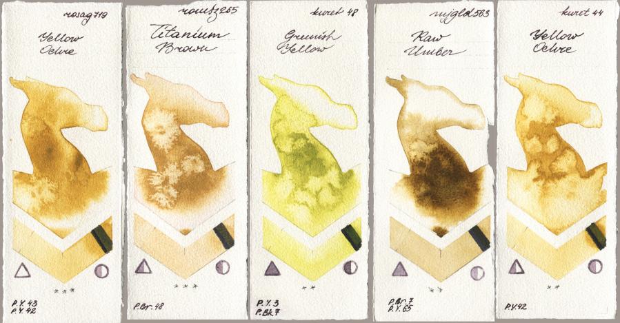Rosa Gallery 719 Yellow Ochre vs Roman Szmal Aquarius 265 Titanium Brown vs Kuretake Gansai Tambi 048 Greenish Yellow vs Mijello Mission Gold 563 Raw Umber vs 044 Yellow Ochre watercolor swatch