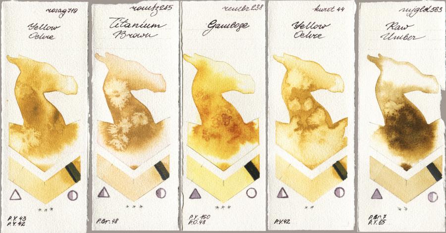 Rosa Gallery 719 Yellow Ochre vs Roman Szmal Aquarius 265 Titanium Brown vs Royal Talens Rembrandt Watercolour 238 Gamboge vs Kuretake Gansai Tambi 044 Yellow Ochre vs Mijello Mission Gold 563 Raw Umber watercolor swatch