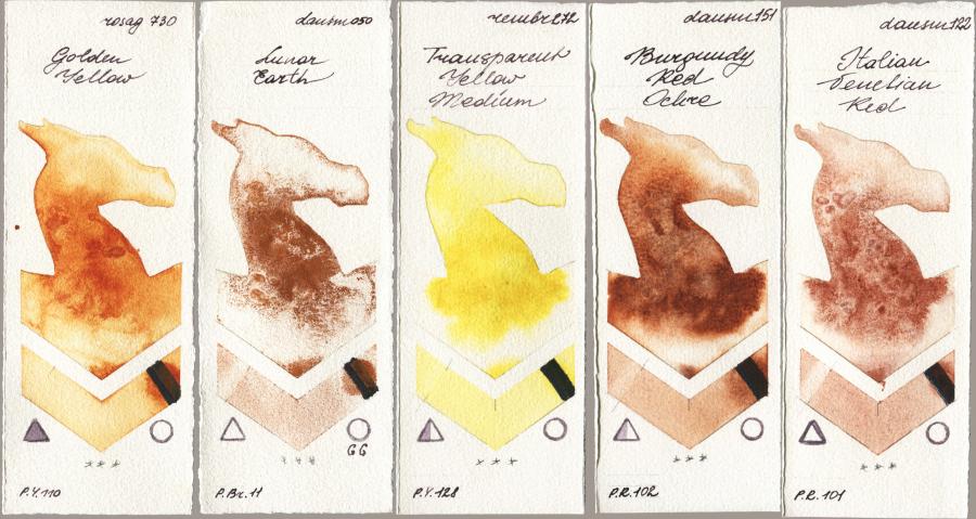 Rosa Gallery 730 Golden Yellow vs Daniel Smith 050 Lunar Earth vs Royal Talens Rembrandt Watercolour 272 Transparent Yellow Medium vs 151 Burgundy Red Ochre vs 122 Italian Venetian Red watercolor swatch