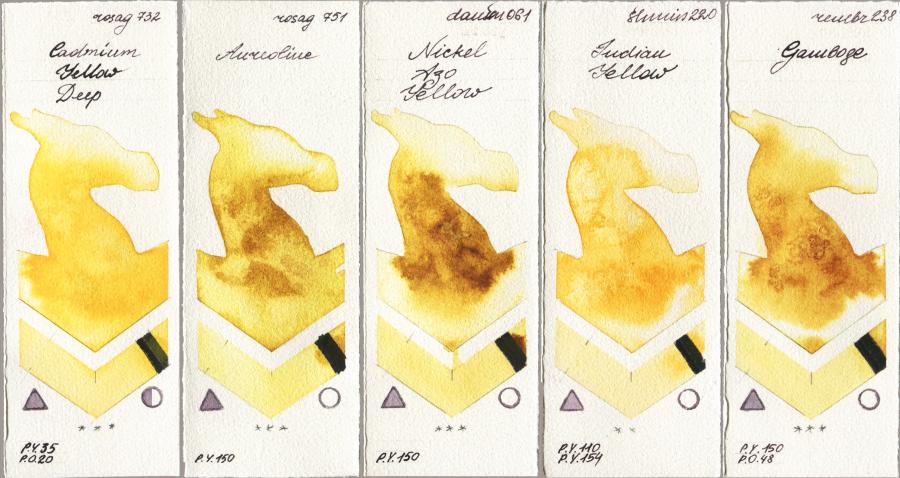 Rosa Gallery 732 Cadmium Yellow Deep vs 751 Aureoline vs Daniel Smith 061 Nickel Azo Yellow vs Shminke Horadam Aquarell 220 Indian Yellow vs Royal Talens Rembrandt Watercolour 238 Gamboge watercolor swatch