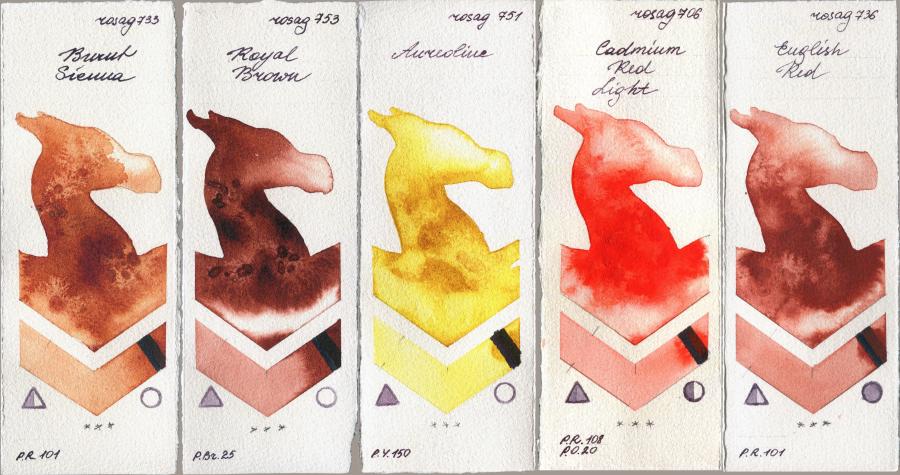 Rosa Gallery 733 Burnt Sienna vs 753 Royal Brown vs 751 Aureoline vs 706 Cadmium Red Light vs 736 English Red watercolor swatch