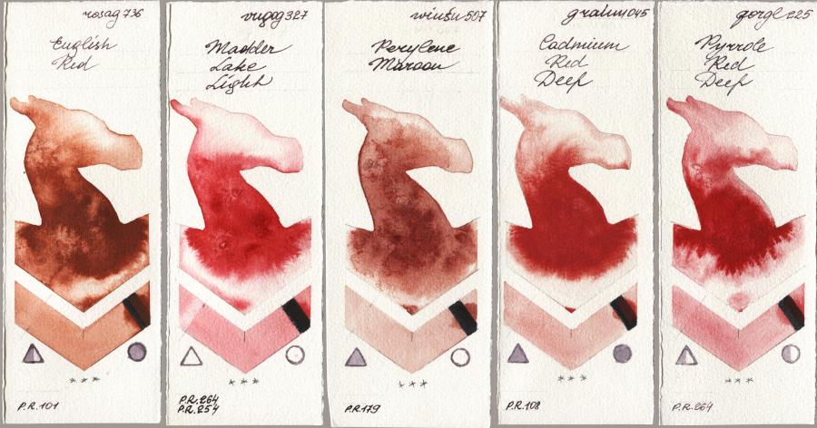 Rosa Gallery 736 English Red vs Royal Talens Van Gogh Watercolour 327 Madder Lake Light vs Winsor & Newton Professional 507 Perylene Maroon vs M. Graham & Co. Artists 045 Cadmium Red Deep vs Golden QOR 225 Pyrrole Red Deep watercolor swatch