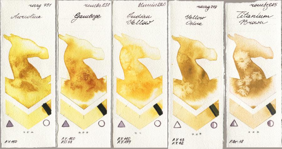 Rosa Gallery 751 Aureoline vs Royal Talens Rembrandt Watercolour 238 Gamboge vs Shminke Horadam Aquarell 220 Indian Yellow vs 719 Yellow Ochre vs Roman Szmal Aquarius 265 Titanium Brown watercolor swatch