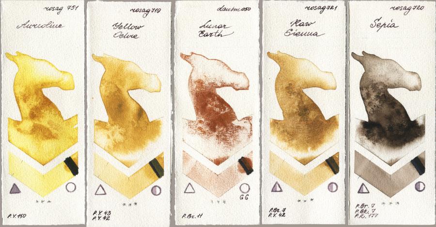 Rosa Gallery 751 Aureoline vs 719 Yellow Ochre vs Daniel Smith 050 Lunar Earth vs 721 Raw Sienna vs 720 Sepia watercolor swatch