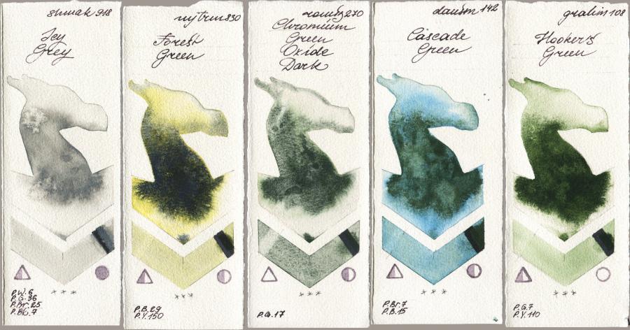 Shminke Akademie Aquarell 918 Icy Grey vs Mijello Mission Gold 830 Forest Green vs Roman Szmal Aquarius 270 Chromium Green Oxide Dark vs Daniel Smith 142 Cascade Green vs M. Graham & Co. Artists 108 Hookers Green watercolor swatch