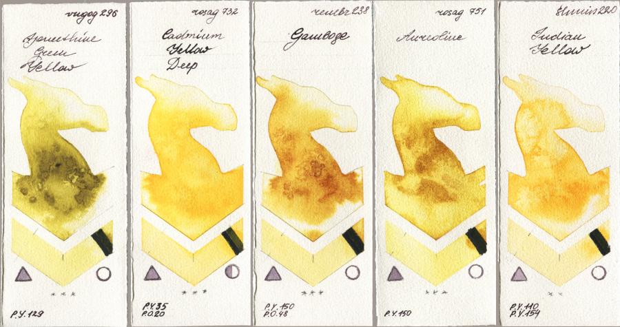Royal Talens Van Gogh Watercolour 296 Azomethine Green Yellow vs Rosa Gallery 732 Cadmium Yellow Deep vs Royal Talens Rembrandt Watercolour 238 Gamboge vs 751 Aureoline vs Shminke Horadam Aquarell 220 Indian Yellow watercolor swatch