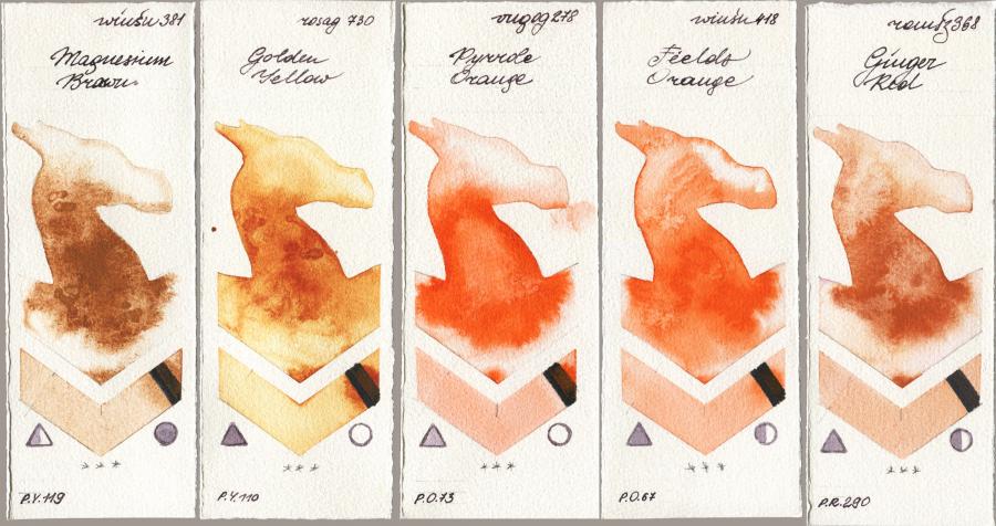 Winsor & Newton Professional 381 Magnesuim Brown vs Rosa Gallery 730 Golden Yellow vs Royal Talens Van Gogh Watercolour 278 Pyrrole Orange vs 418 Fields Orange vs Roman Szmal Aquarius 368 Genger Red watercolor swatch