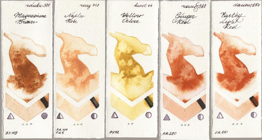 Winsor & Newton Professional 381 Magnesuim Brown vs Rosa Gallery 748 Naples Rose vs Kuretake Gansai Tambi 044 Yellow Ochre vs Roman Szmal Aquarius 368 Genger Red vs Daniel Smith 254 Earthy Light Red watercolor swatch