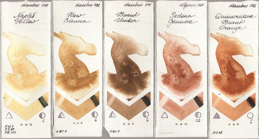 Daniel Smith 058 Naples Yellow, 096 Raw Sienna, 011 Burnt Umber, 145 Sedona Genuine, 086 Quinacridone Burnt Oran watercolor swatch
