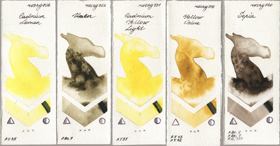 Rosa Gallery 702 Cadmium Lemon vs 722 Umber vs 731 Cadmium Yellow Light vs 719 Yellow Ochre vs 720 Sepia watercolor swatch