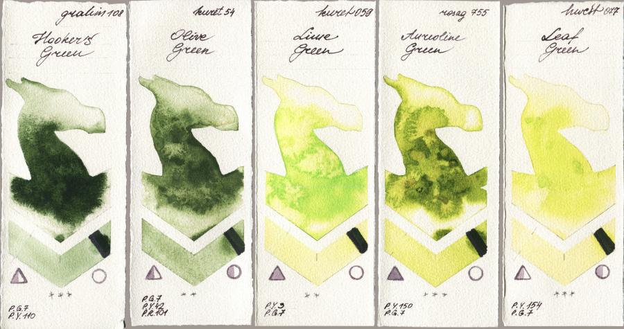 M. Graham & Co. Artists 108 Hookers Green vs Kuretake Gansai Tambi 054 Olive Green vs 059 Lime Green vs Rosa Gallery 755 Aureoline Green vs Holbein Artists Watercolor 077 Leaf Green watercolor swatch