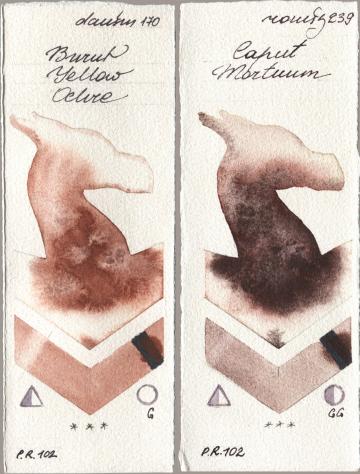 Daniel Smith 170 Burnt Yellow Ochre, Roman Szmal Aquarius 239 Caput Mortu watercolor swatch